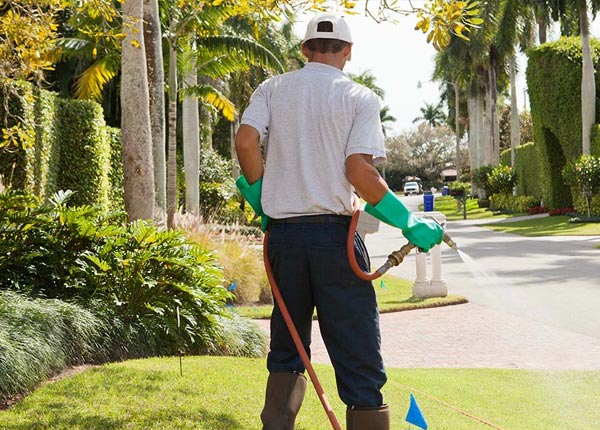 About Gaylord MI Pest Control